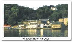 Tobermory Harbour / Photo Courtesy of Burn Stewart Distillers