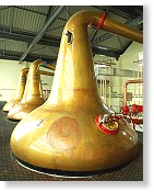Aultmore Distillery Stills - Photo Courtesy of John Dewar & Sons Ltd.