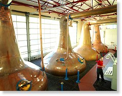 Craigellachie Distillery Stills - Photo Courtesy of John Dewar & Sons Ltd.