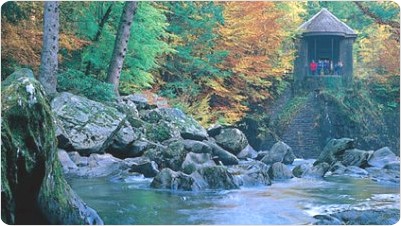 Hermitage, Dunkeld